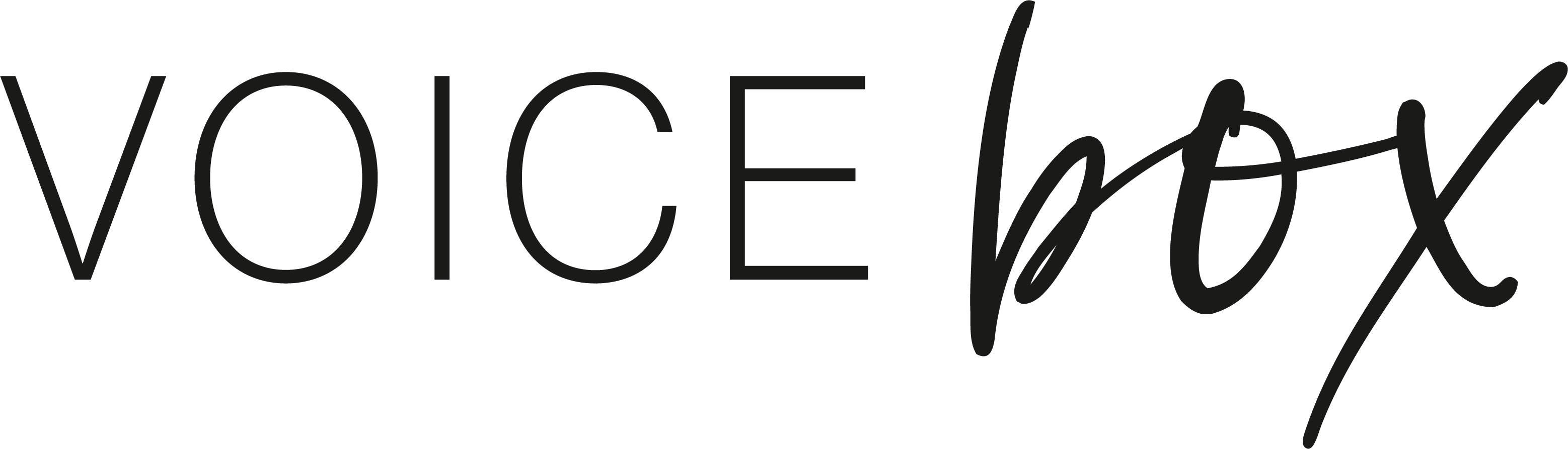 Voice Box Premium Audio Gastenboek Logo